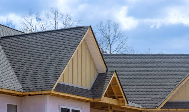 Best Roof Leak Repair  in Lake Delton, WI